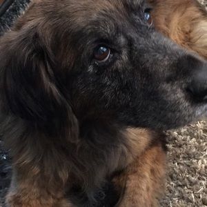 Meet your Posher, Marcy